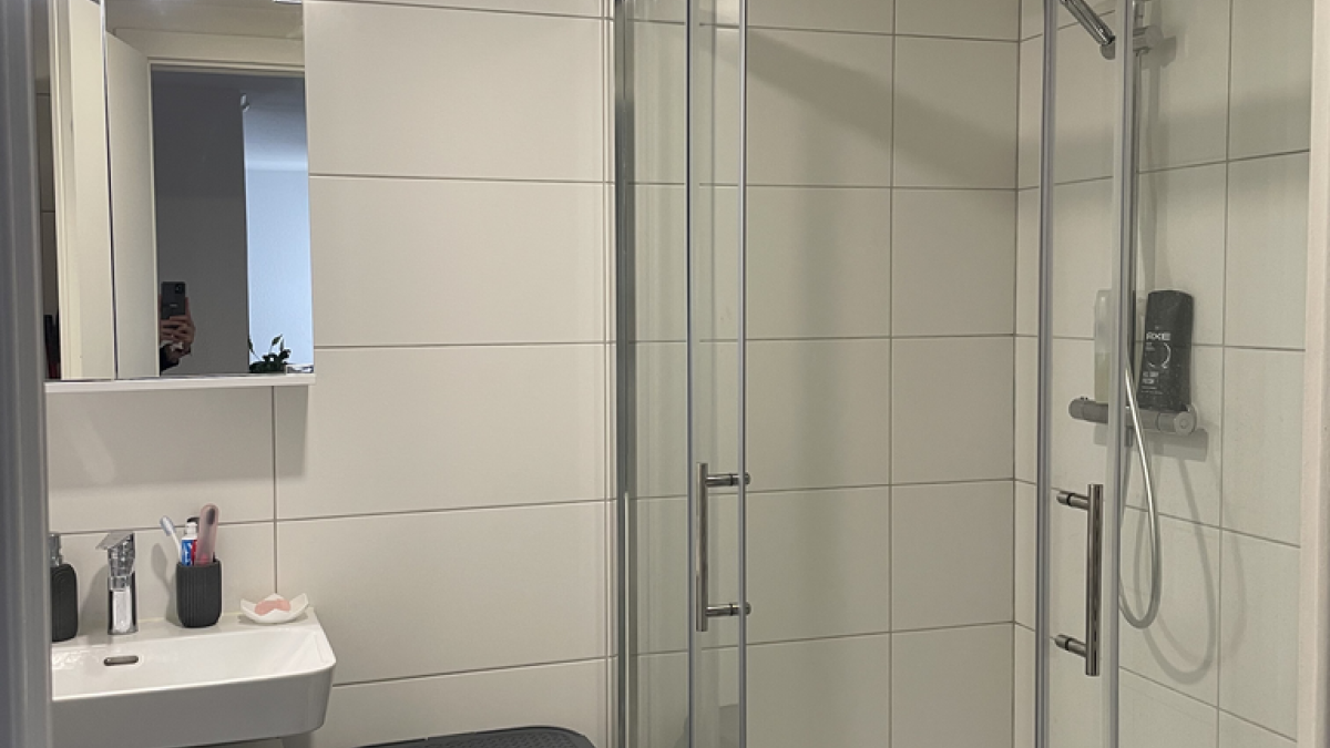 Appartement de 1.5 pièces au Sentier