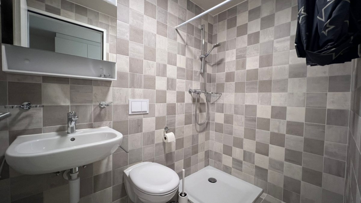 Bel appartement de 4.5 pièces loué meublé