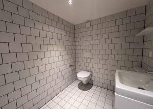 À louer - bel appartement de 3.5 pièces en duplex aux combles