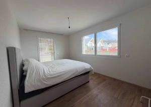 Appartement avec vue sur le lac et les montagnes