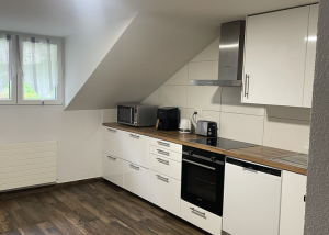 Appartement de 1.5 pièces au Sentier