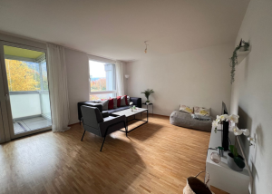 Bel appartement de 4.5 pièces loué meublé