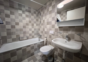 Bel appartement de 4.5 pièces loué meublé