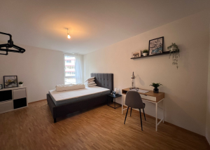 Bel appartement de 4.5 pièces loué meublé